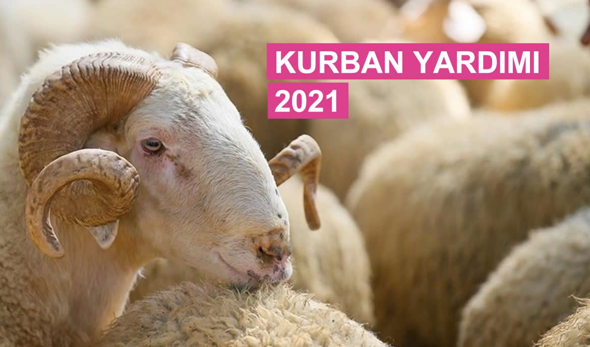 Kurban Yardımı