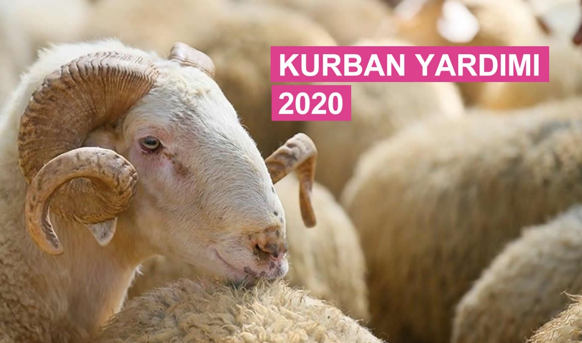 Kurban Bayramı Yardımı